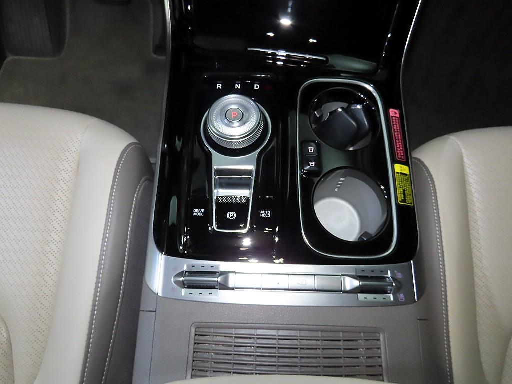 KIA Carnival - Vista 12