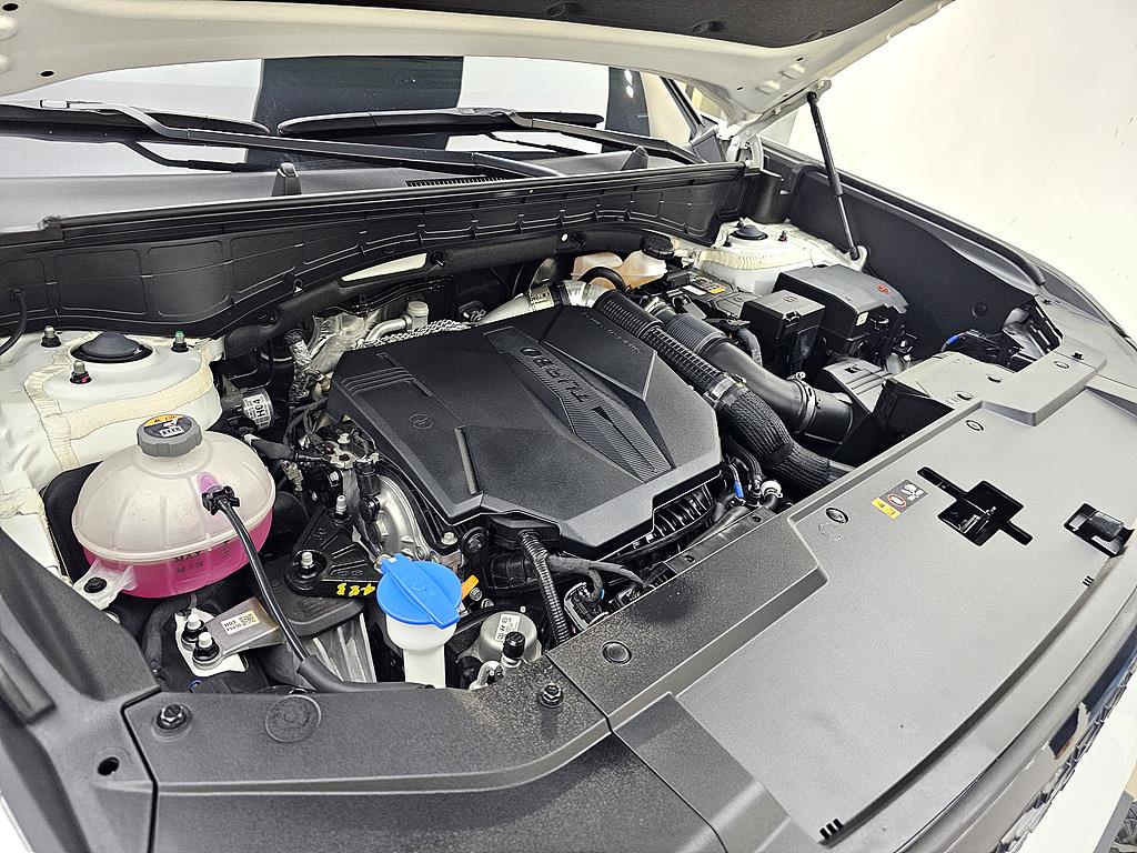 HYUNDAI Santa Fe - Vista 6