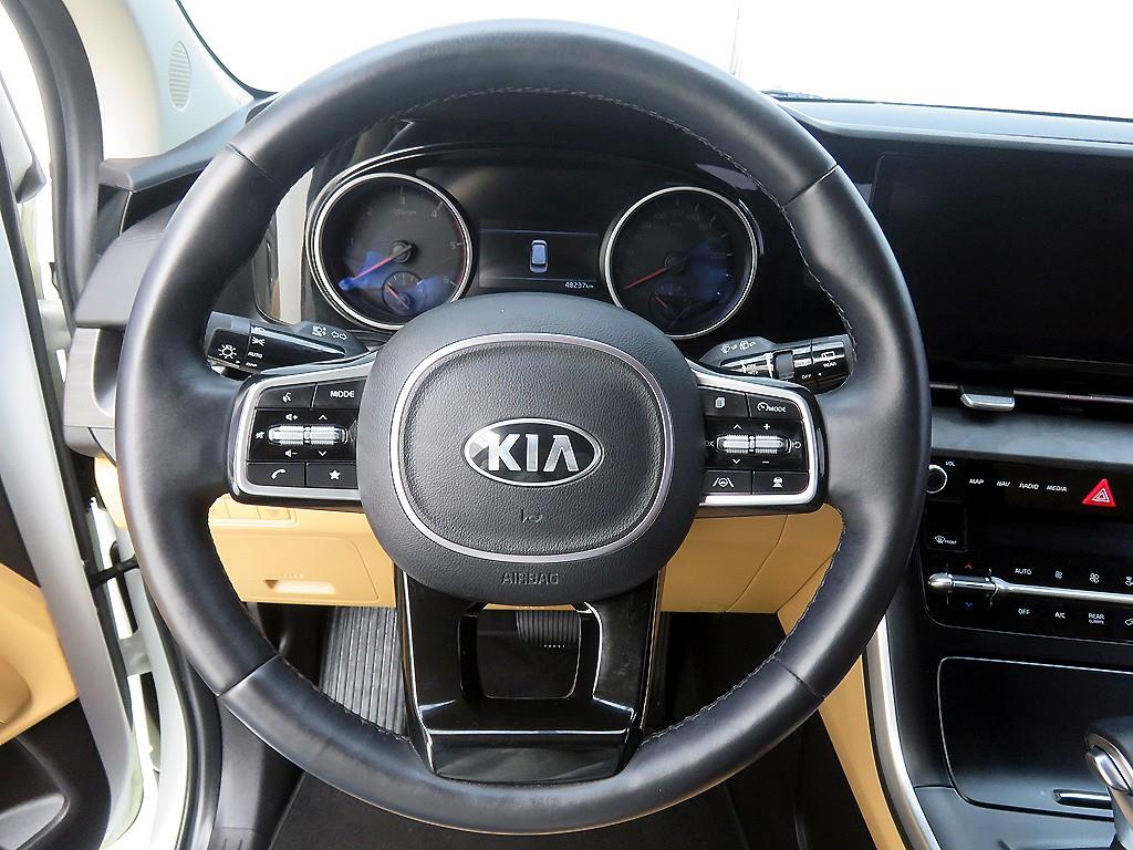 KIA Carnival - Vista 12