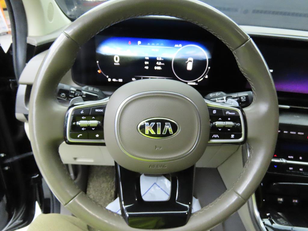 KIA Carnival - Vista 8