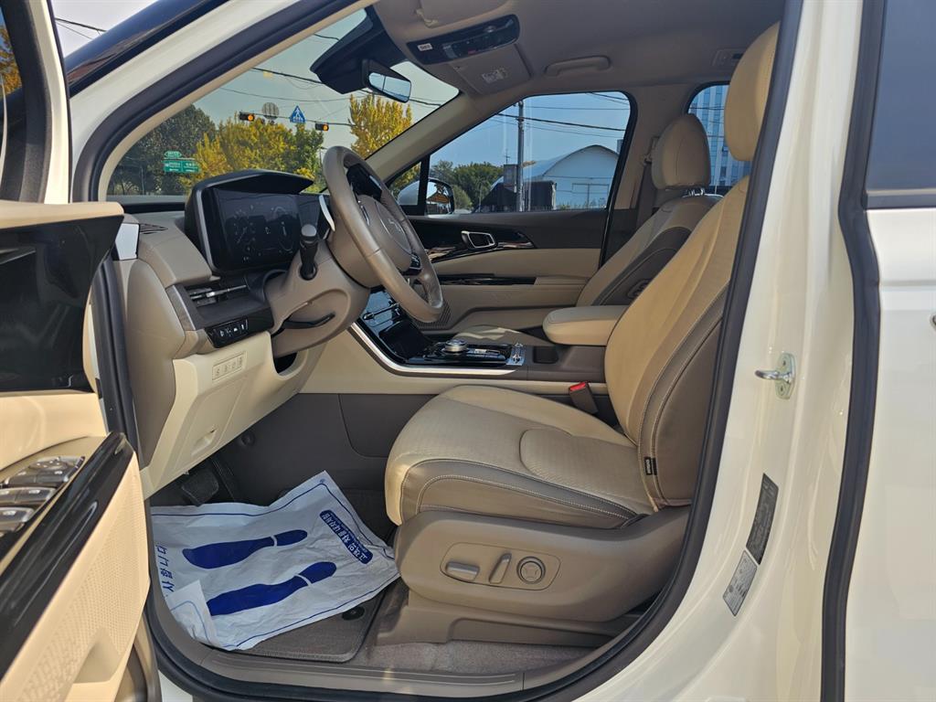KIA Carnival - Vista 10