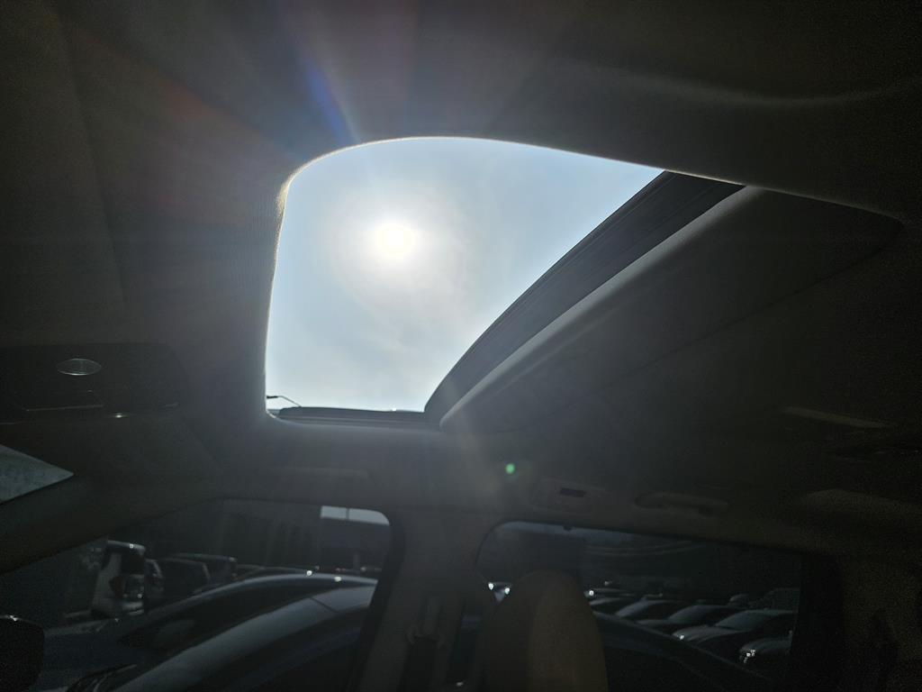 KIA Carnival - Vista 8