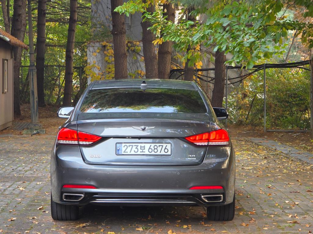 Genesis G80 - Vista 6