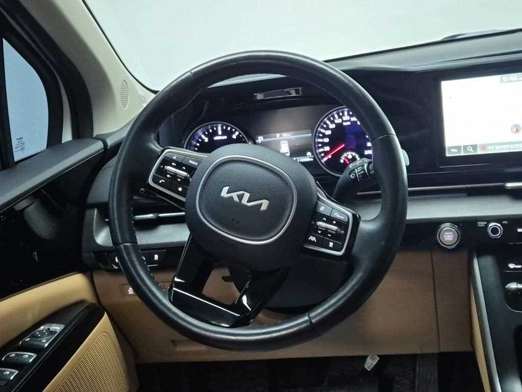 KIA Carnival - Vista 9