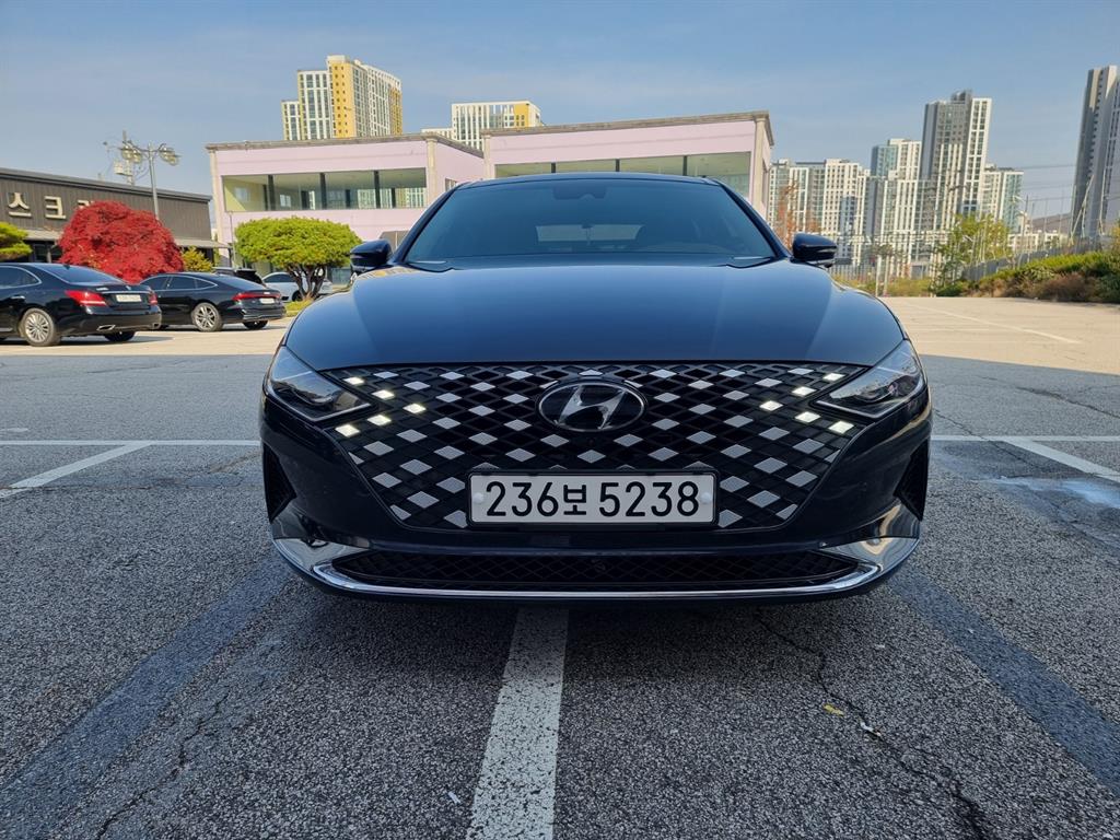 HYUNDAI Grandeur - Vista 4