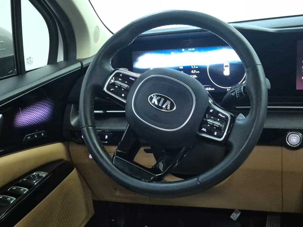 KIA Carnival - Vista 9