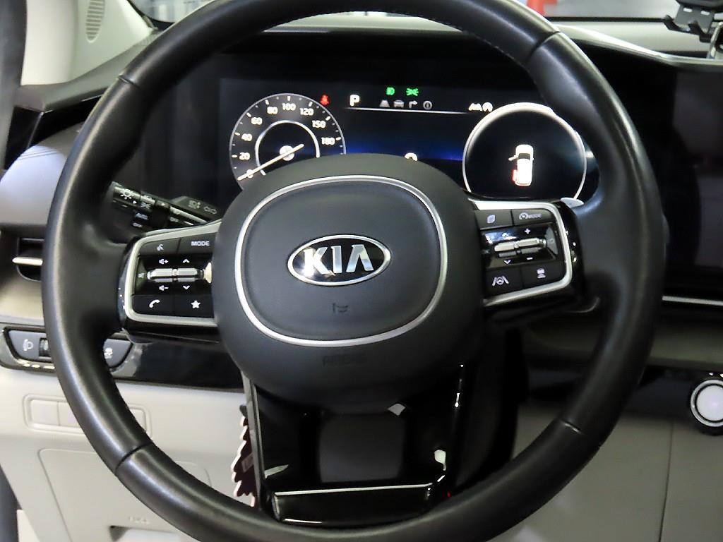 KIA Carnival - Vista 8