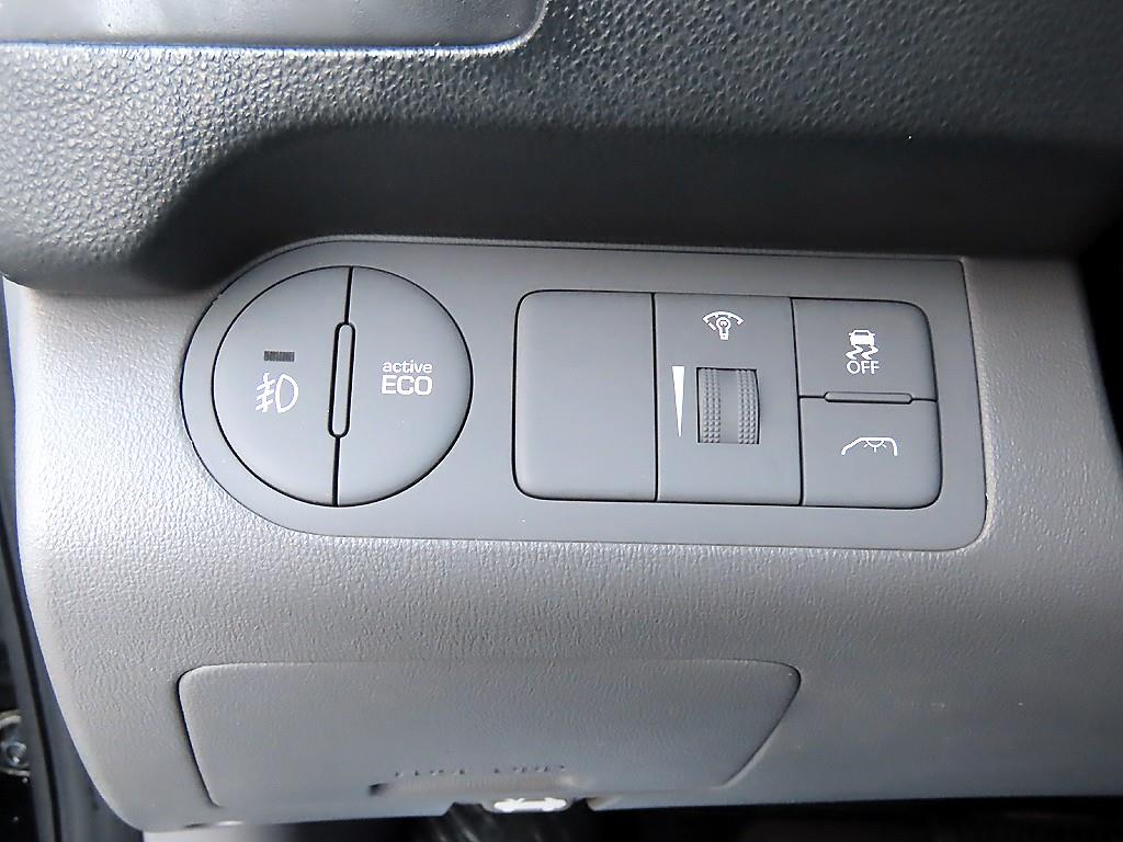 HYUNDAI Starex - Vista 12