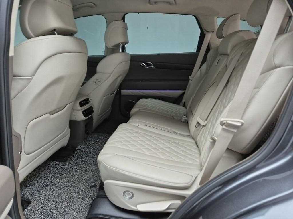 Genesis GV80 - Vista 12