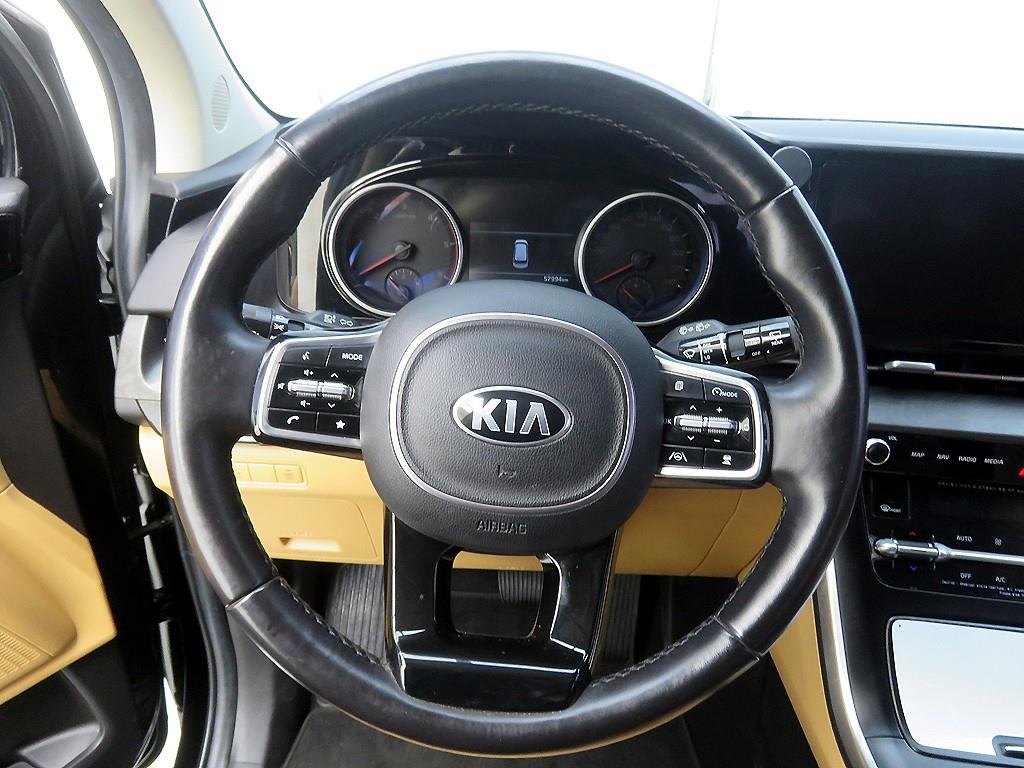 KIA Carnival - Vista 12