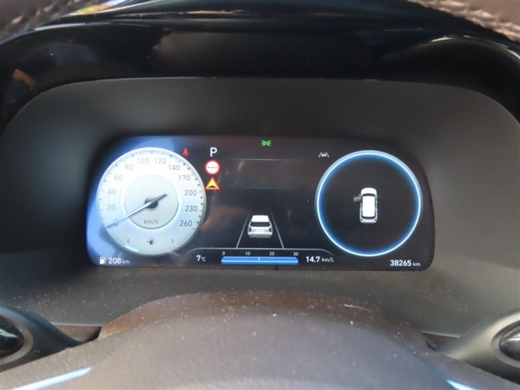 HYUNDAI Palisade - Vista 9