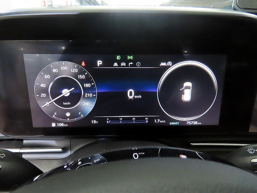 KIA Carnival - Vista 9