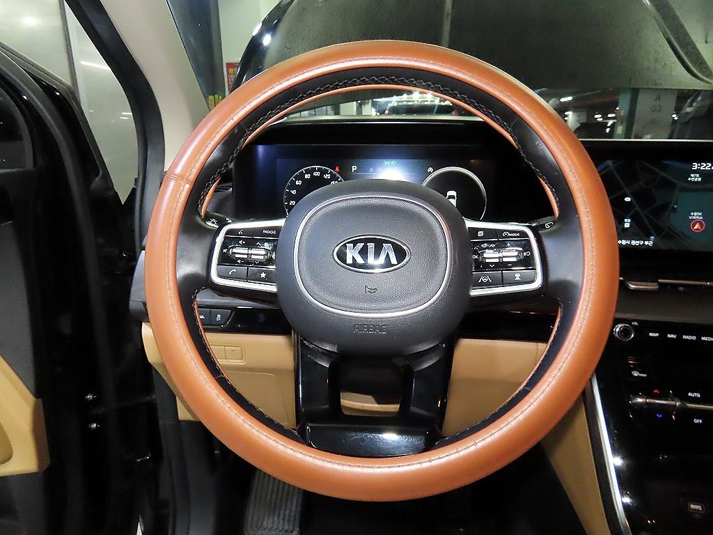 KIA Carnival - Vista 8