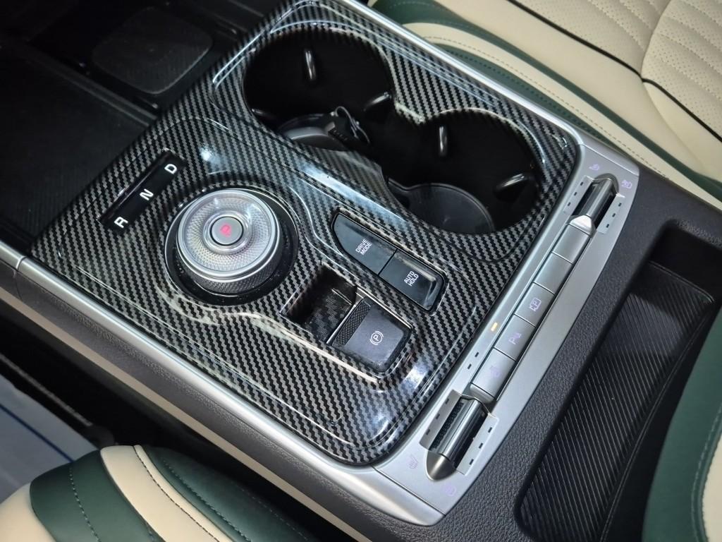 KIA Carnival - Vista 8