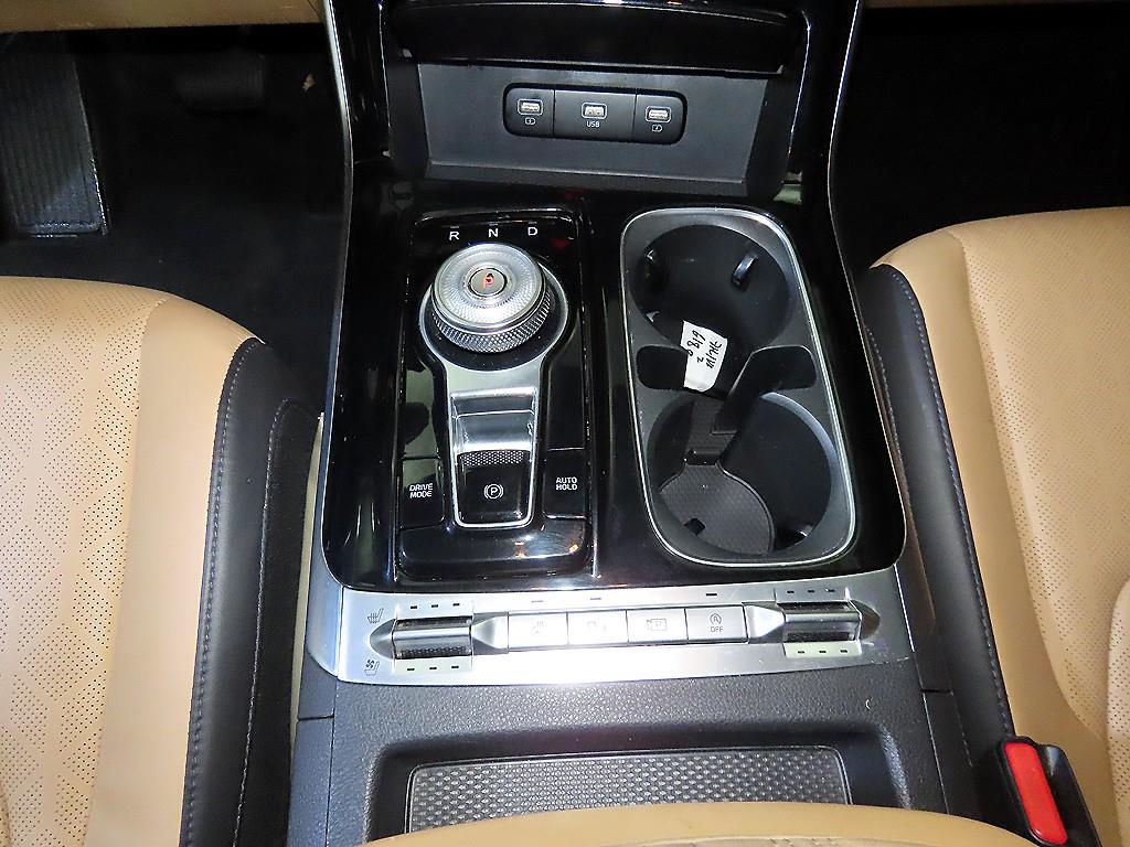 KIA Carnival - Vista 12