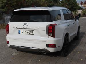 HYUNDAI Palisade - Vista 6