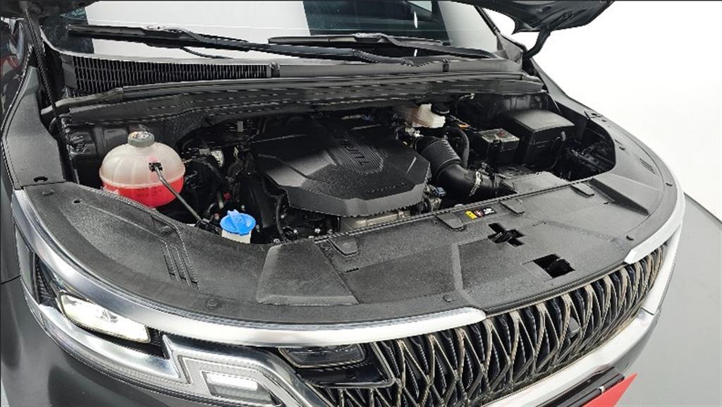 KIA Carnival - Vista 5