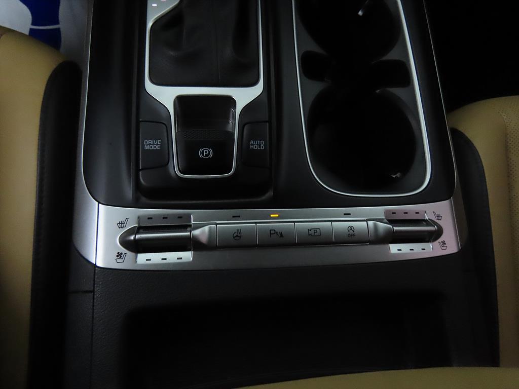 KIA Carnival - Vista 12