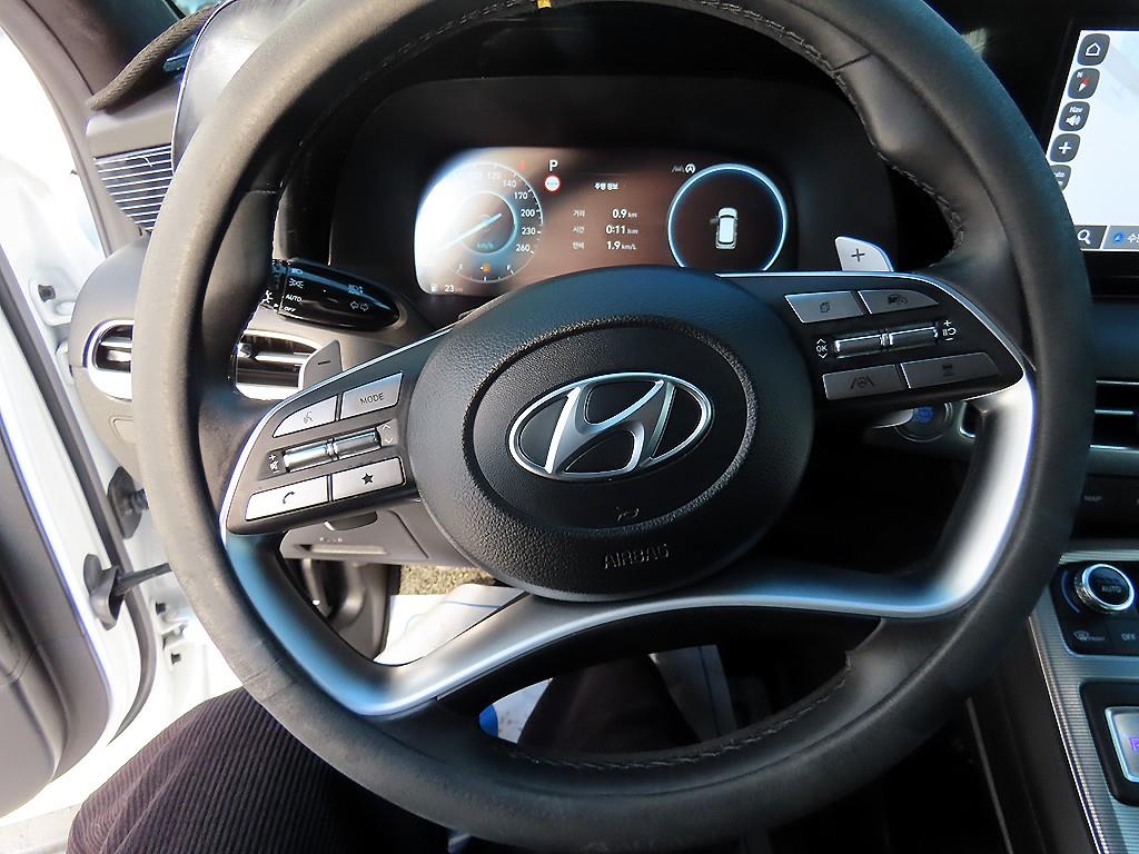 HYUNDAI Palisade - Vista 8