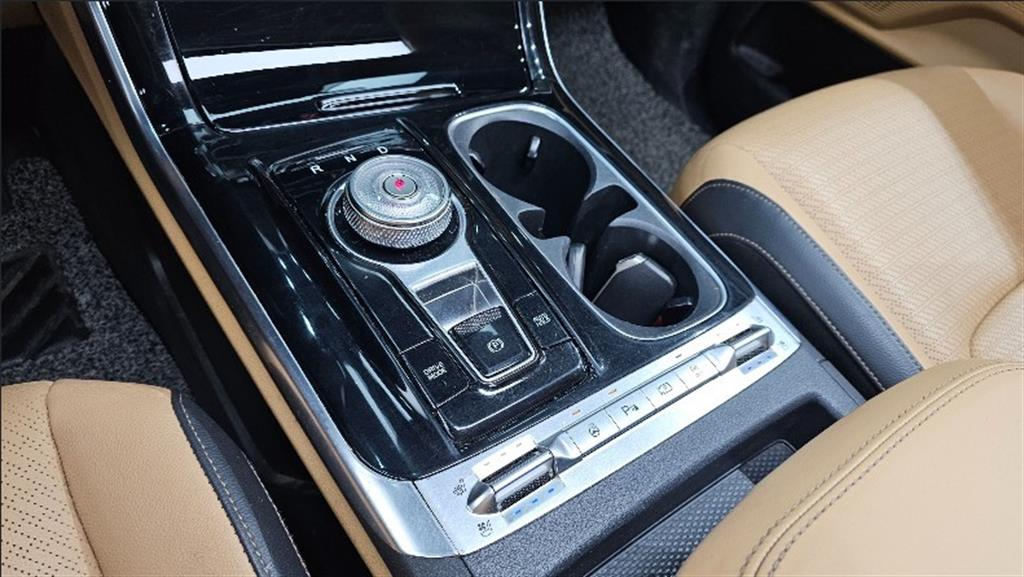 KIA Carnival - Vista 8