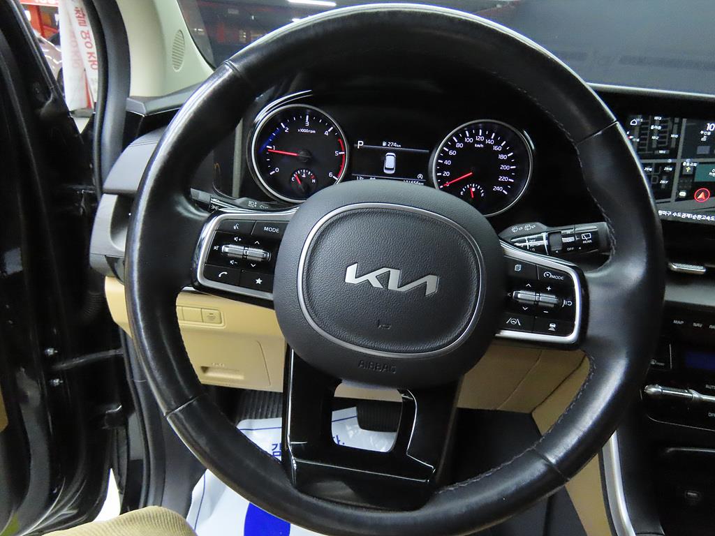 KIA Carnival - Vista 8