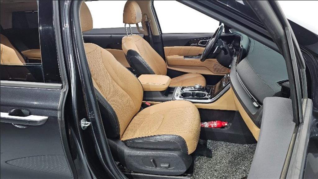 KIA Carnival - Vista 9