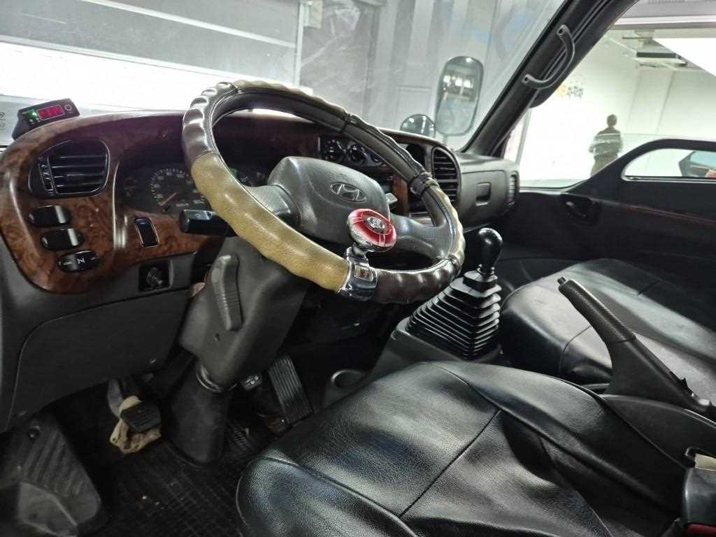 medium and large cargo dump - Vista 6