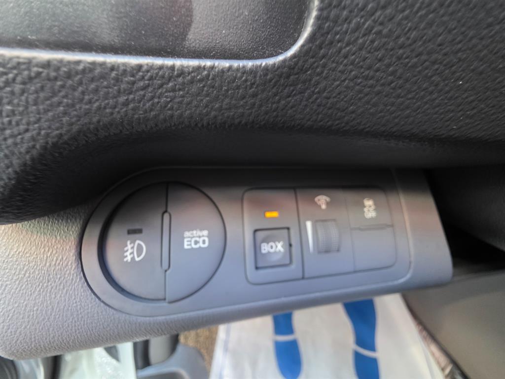 HYUNDAI Starex - Vista 12