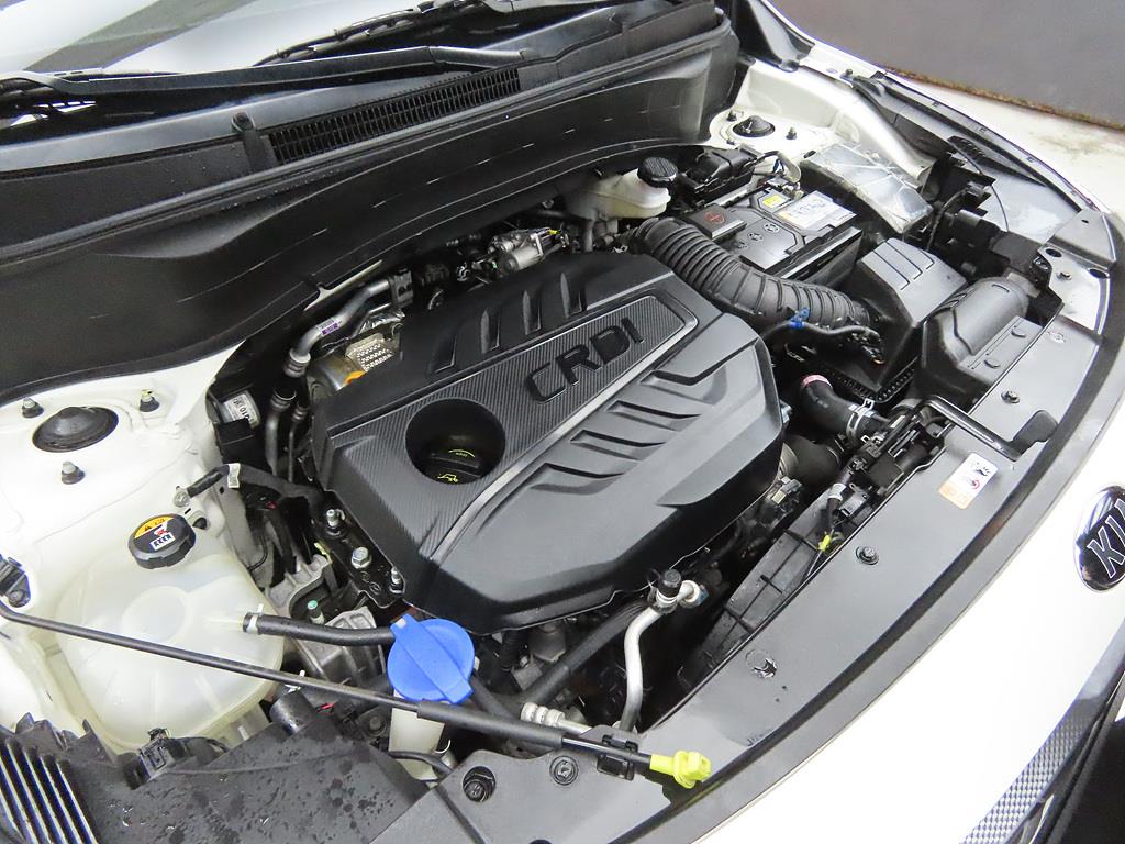 KIA Seltos 2020 Blanco - Importación desde Corea - HF Imports Iquique - Foto 18