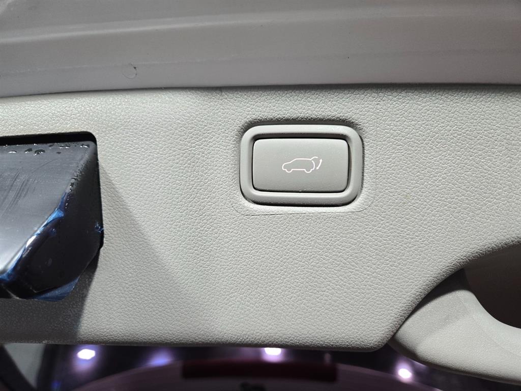 KIA Carnival - Vista 9