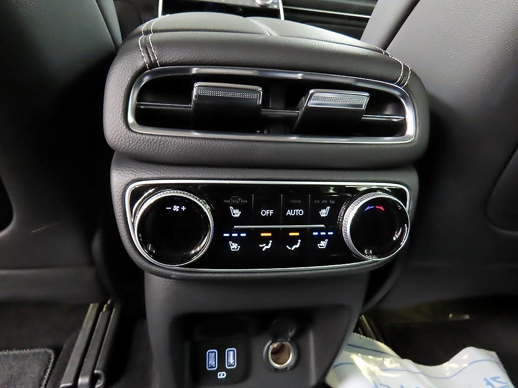 Genesis GV80 - Vista 12