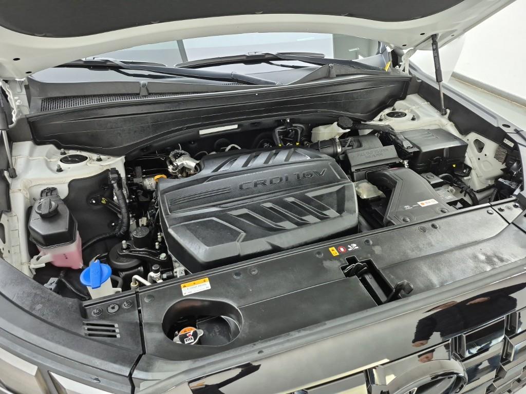 HYUNDAI Palisade - Vista 6