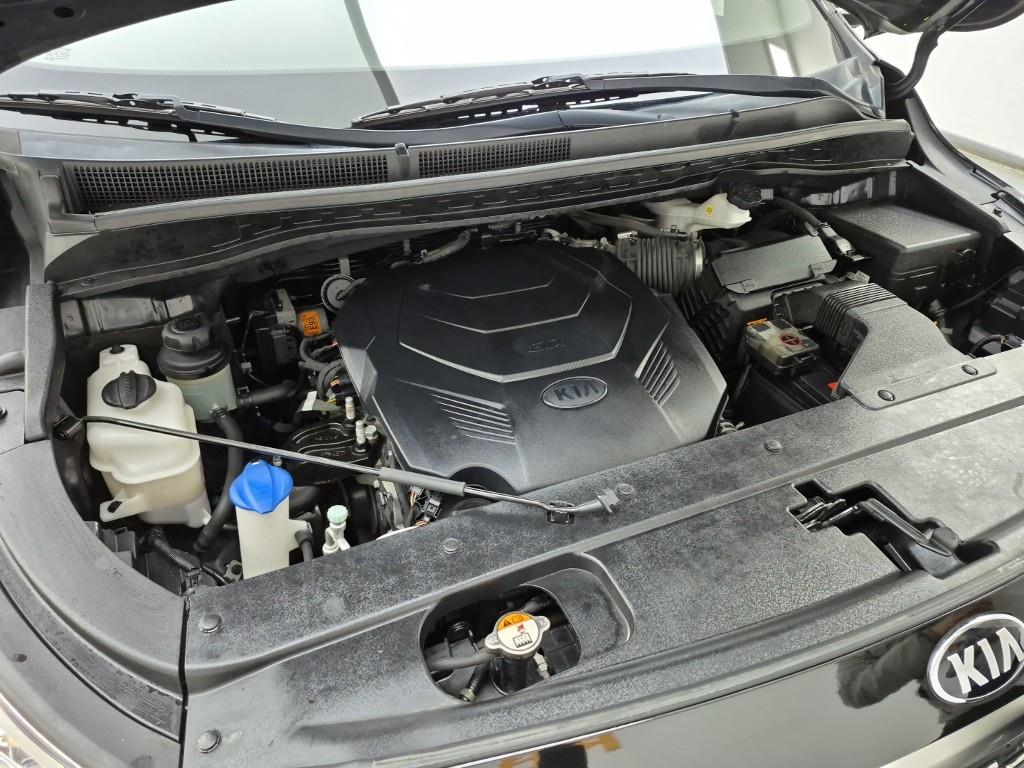 KIA Carnival - Vista 6