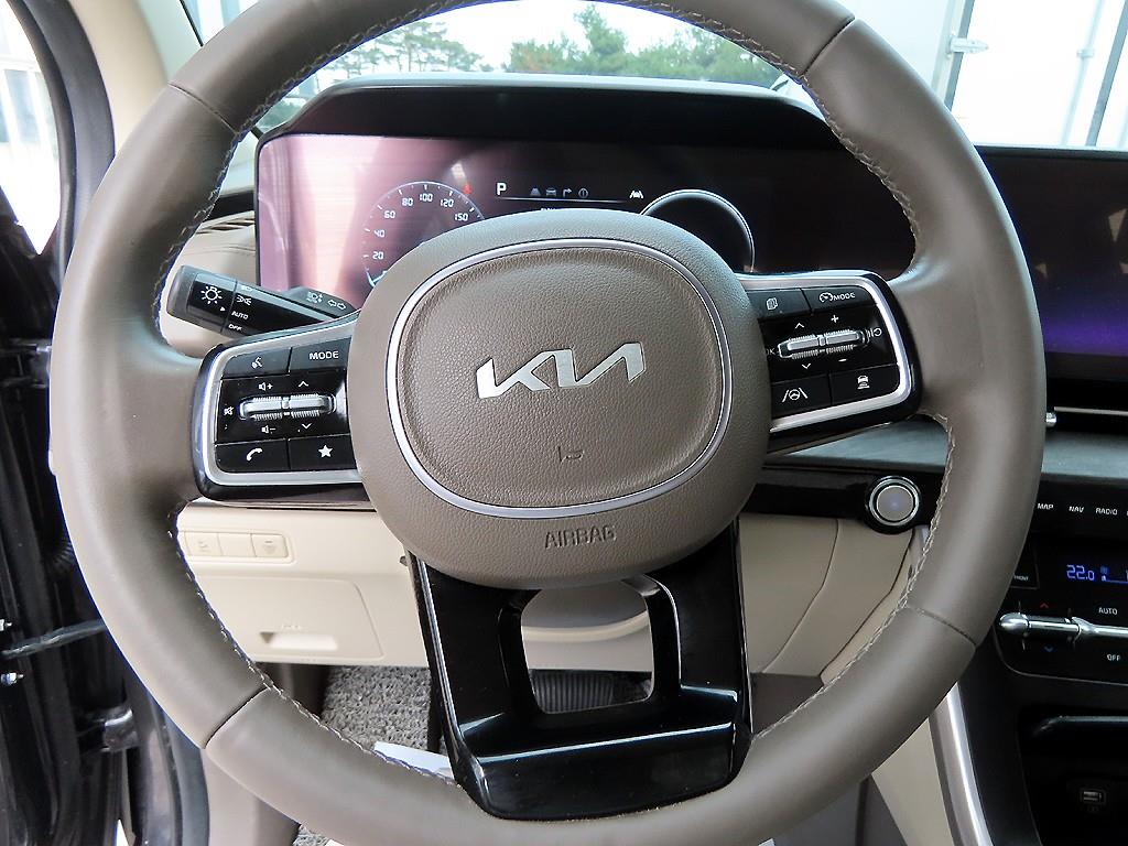 KIA Carnival - Vista 9
