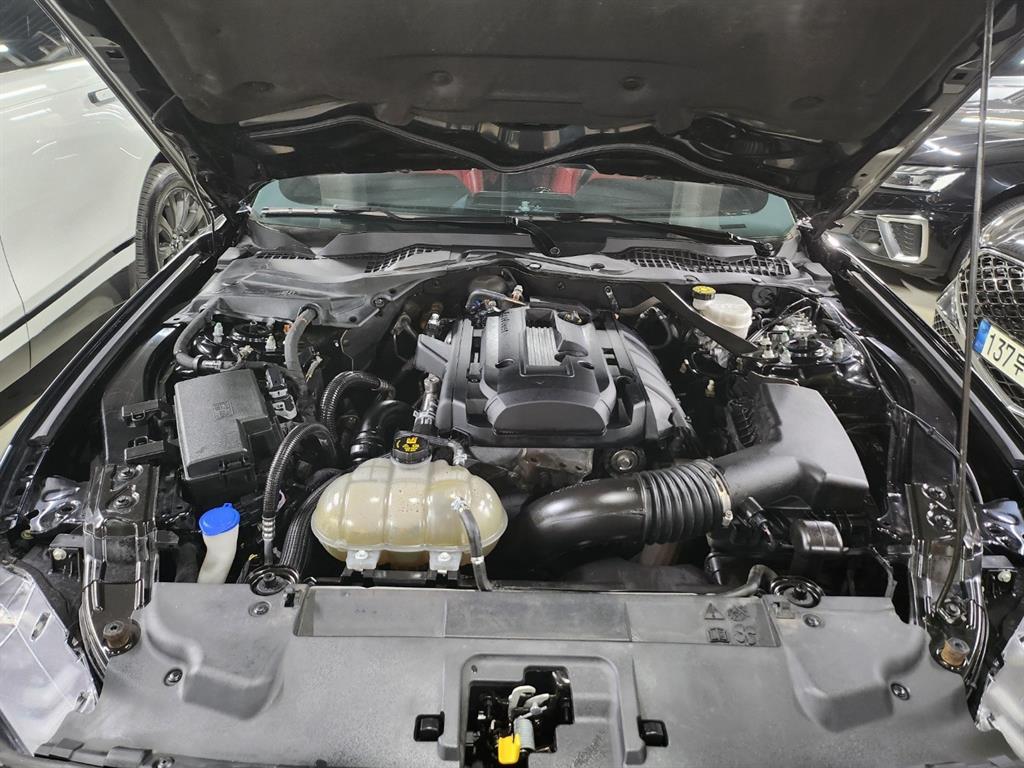 Ford Mustang - Vista 12