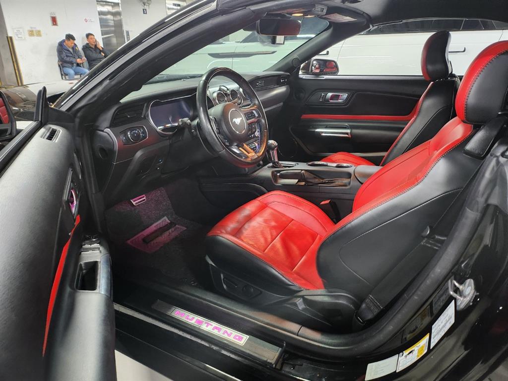 Ford Mustang - Vista 8