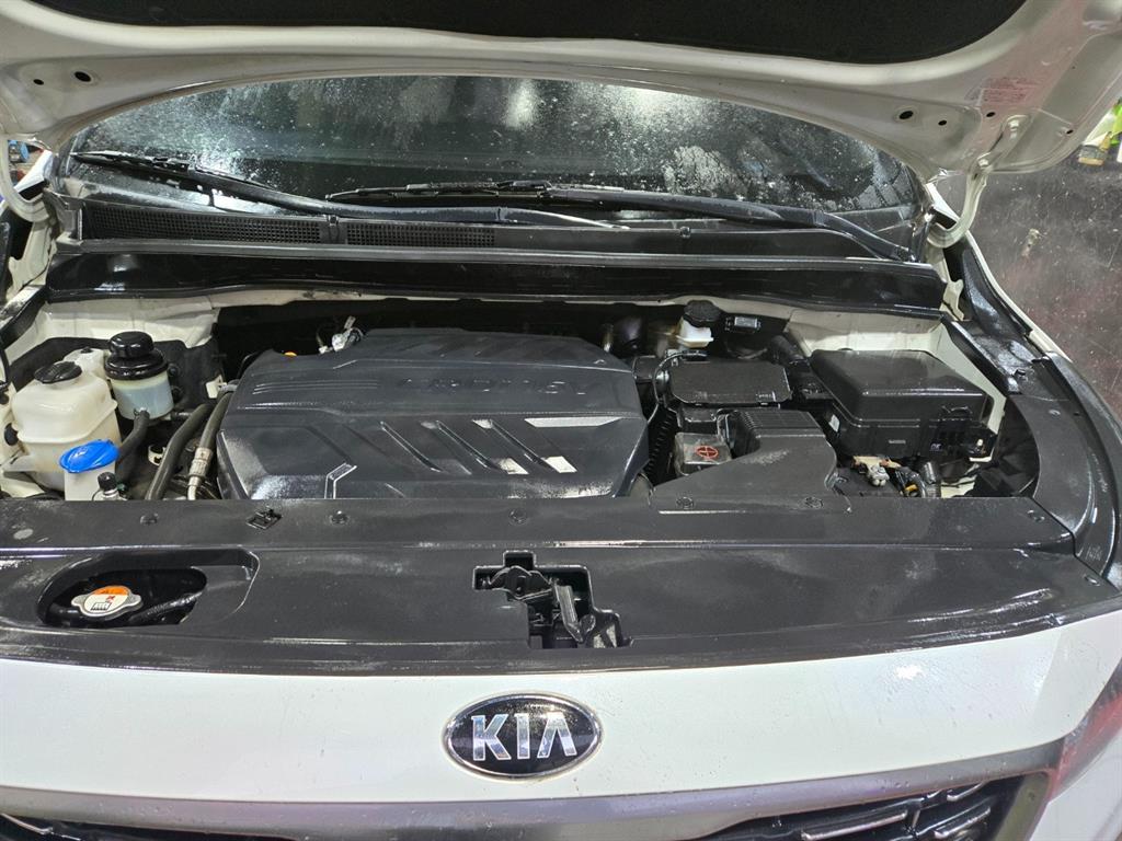 KIA Carnival - Vista 5