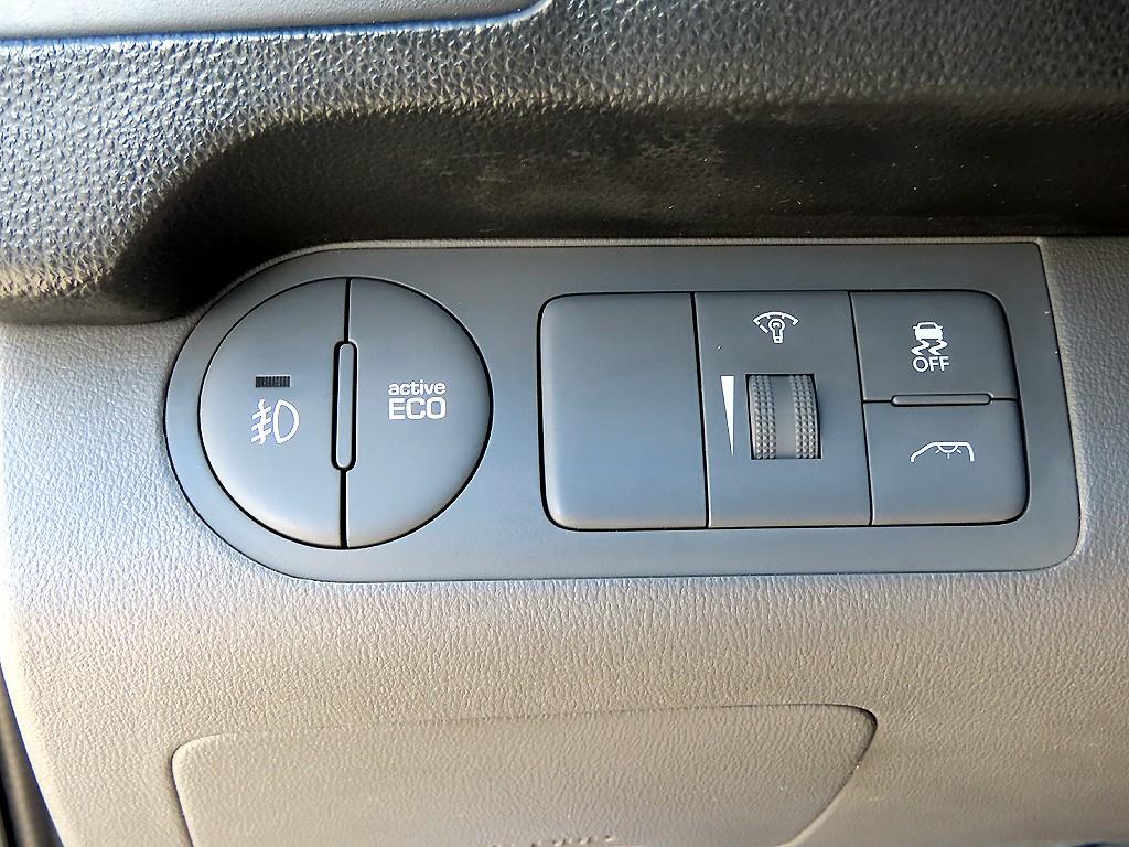 HYUNDAI Starex - Vista 12