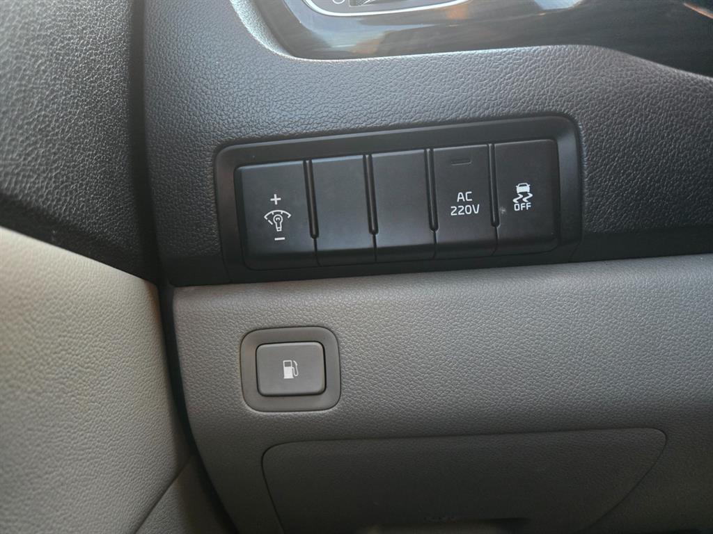 KIA Carnival - Vista 9