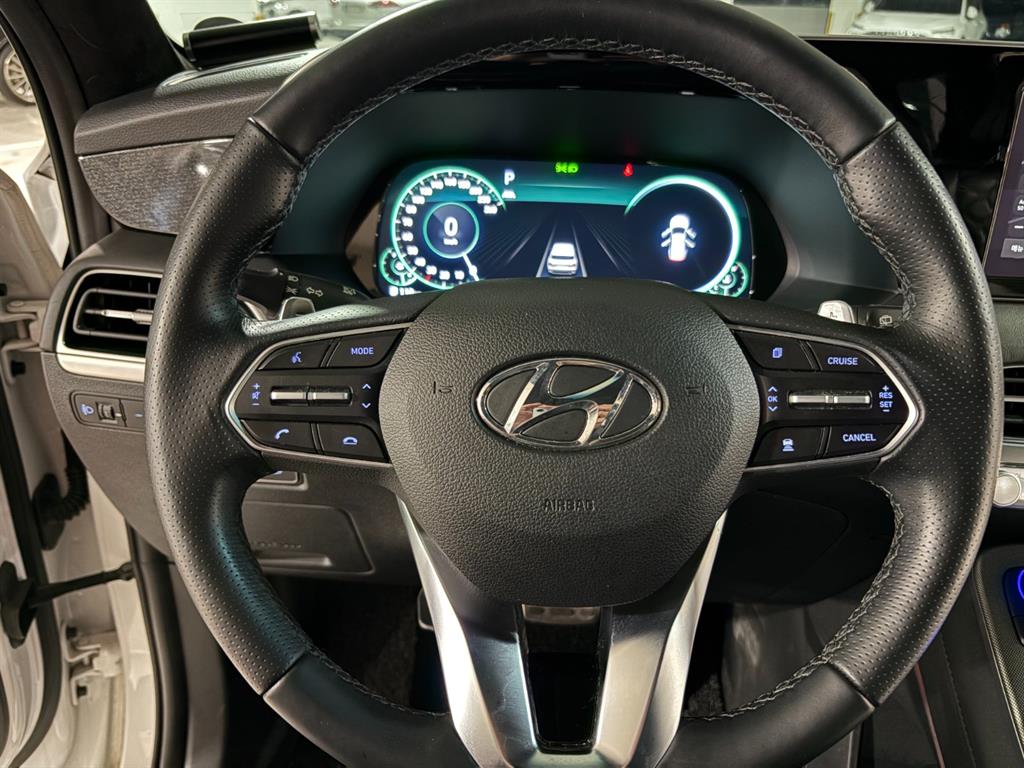 HYUNDAI Palisade - Vista 10