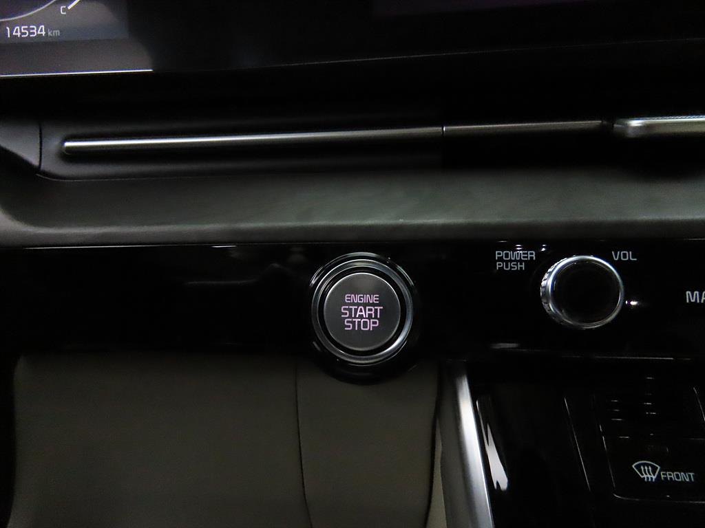 KIA Carnival - Vista 12