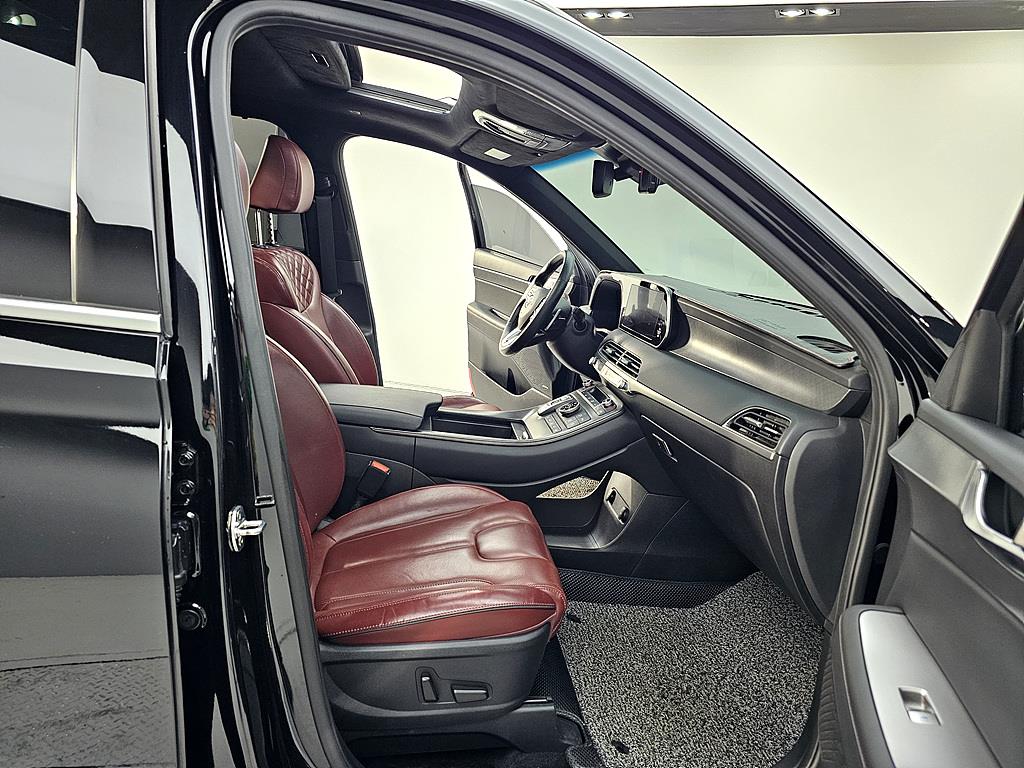 HYUNDAI Palisade - Vista 10