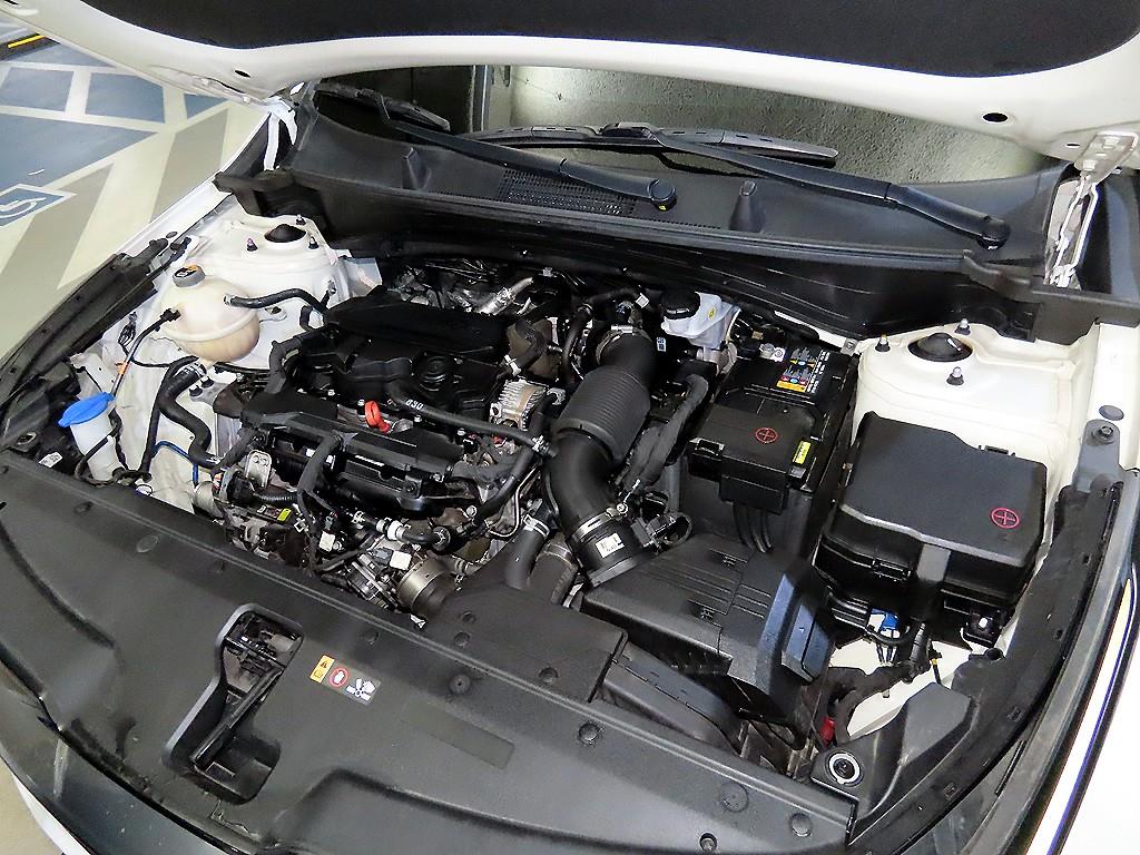 KIA Sportage 2022 Blanco - Importación desde Corea - HF Imports Iquique - Foto 19