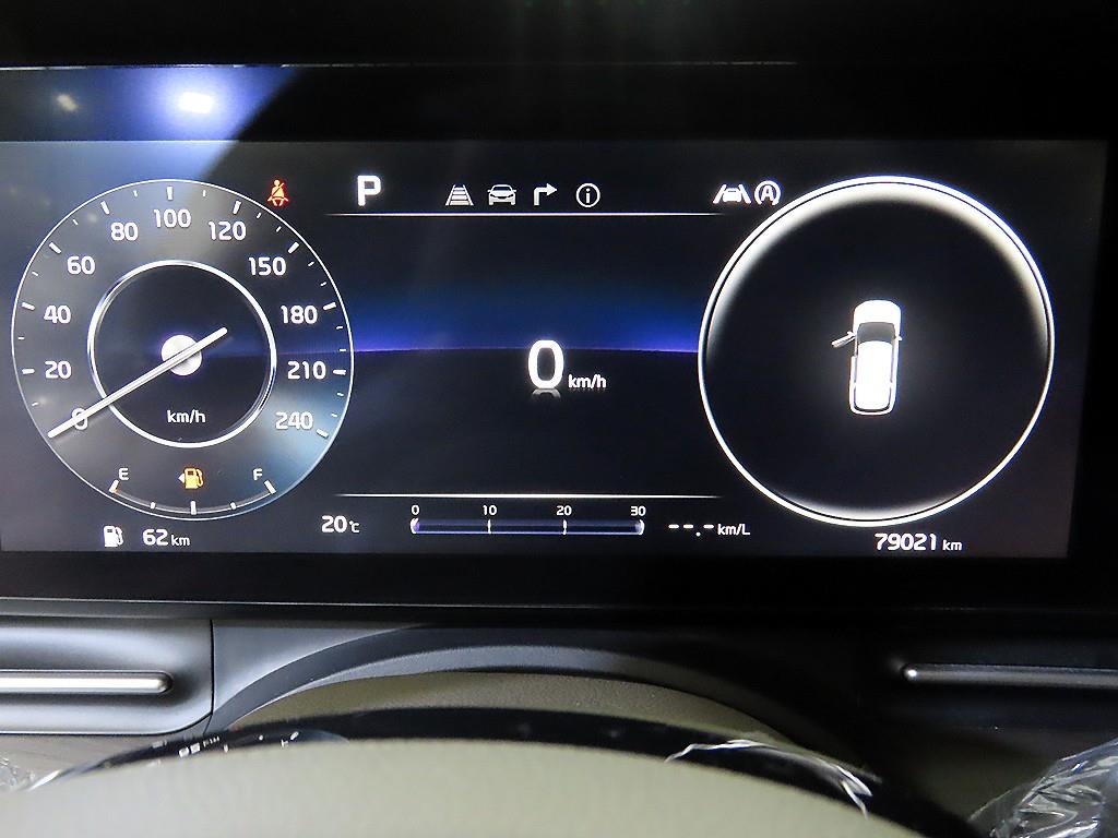 KIA Carnival - Vista 9