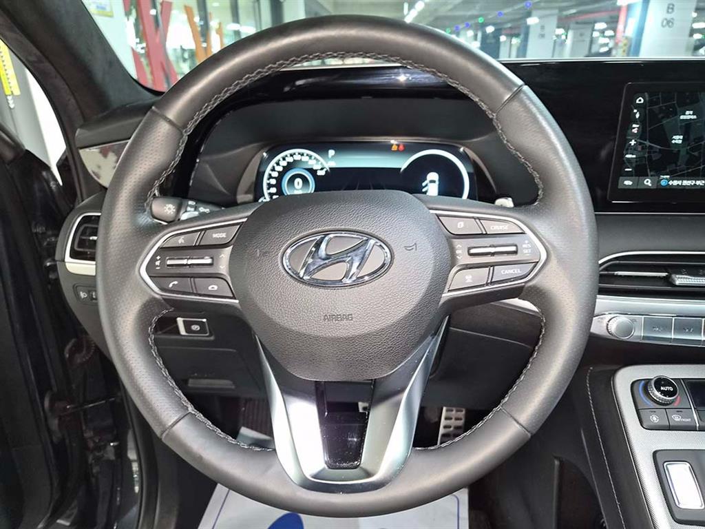 HYUNDAI Palisade - Vista 10