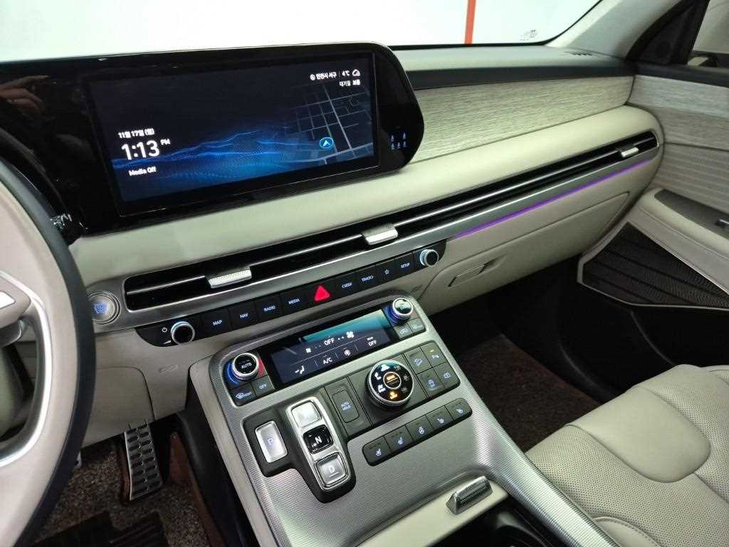 HYUNDAI Palisade - Vista 10