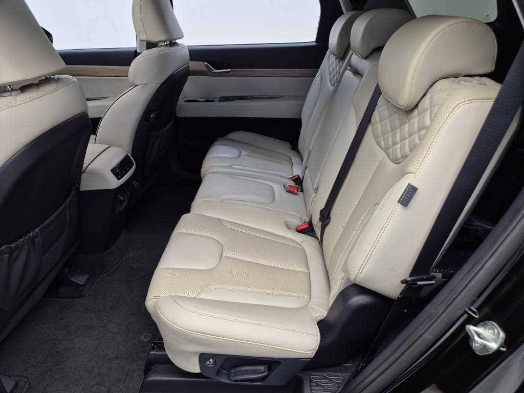 HYUNDAI Palisade - Vista 12