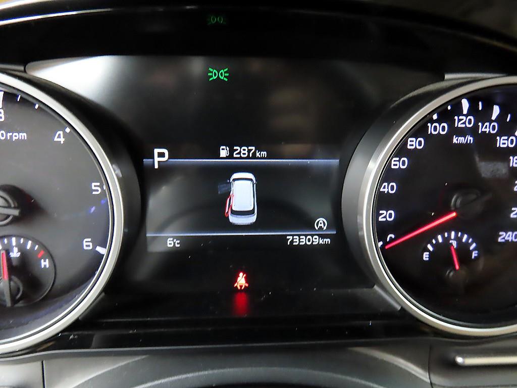 KIA Carnival - Vista 8