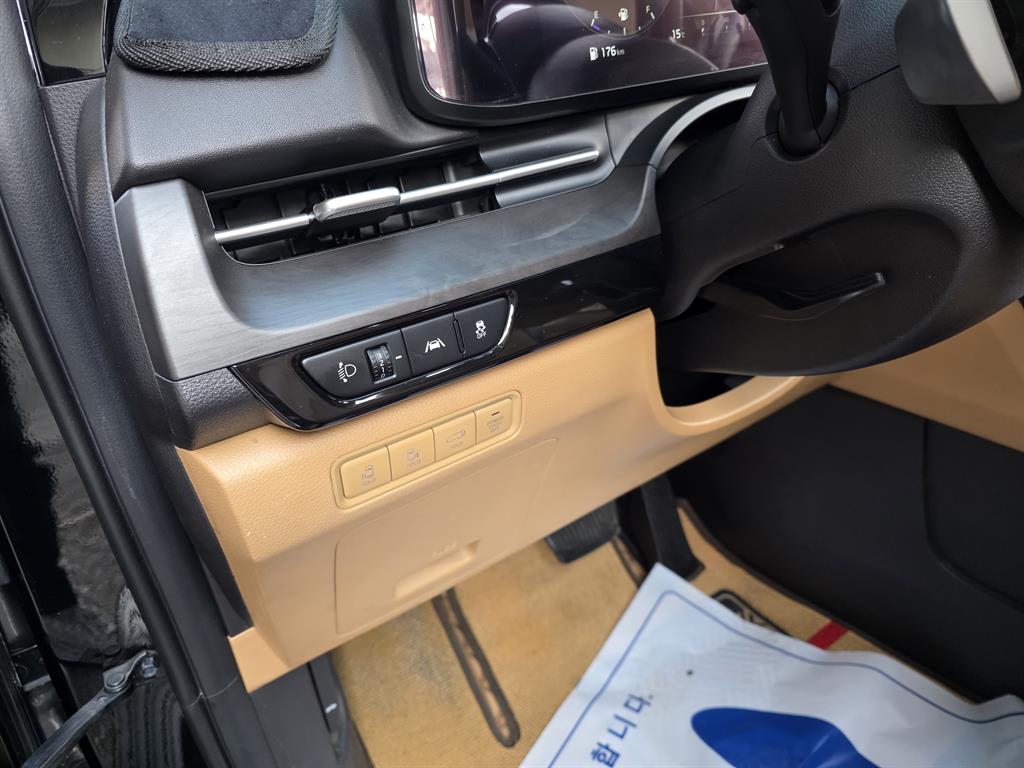 KIA Carnival - Vista 12