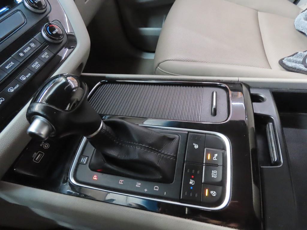 KIA Carnival - Vista 12